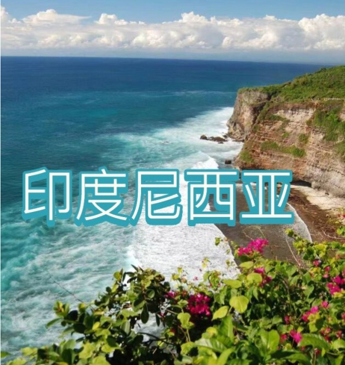 国际电商(印尼)产业博览会开元棋牌app2025中国(图2)