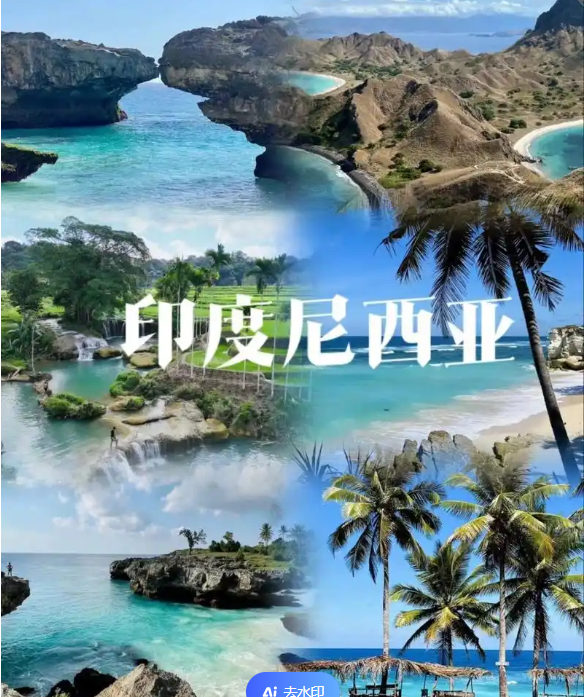 国际电商(印尼)产业博览会开元棋牌app2025中国(图3)